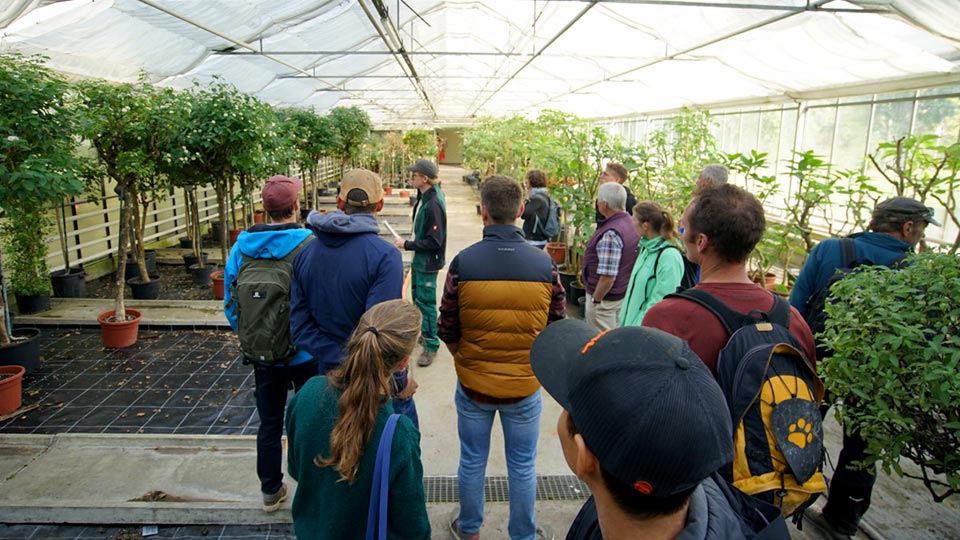 Betriebsausflug auf die Insel Mainau