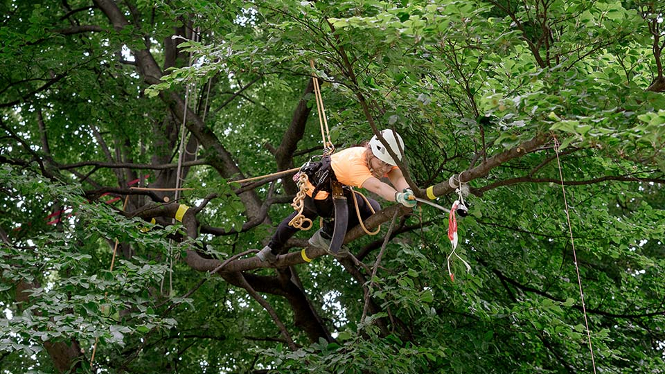 Herzliche Gratulation