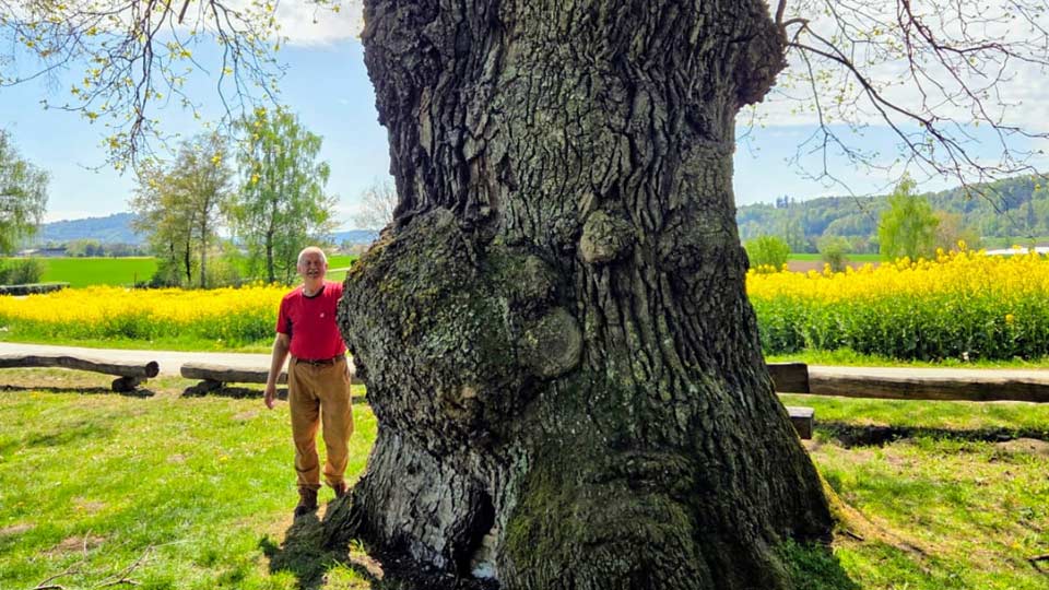 Sehenswürdigkeit zur Mittagspause